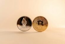 crypto pro network overview